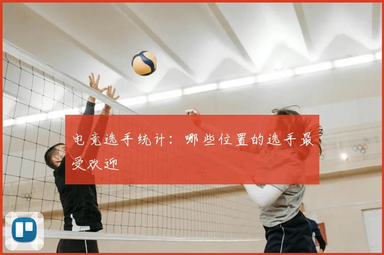 电竞选手统计：哪些位置的选手最受欢迎